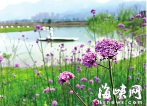 五一期间 福州公园都挤爆了 人气最旺的人流说来吓你一跳