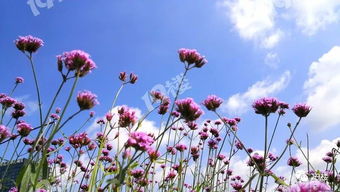 新闻早餐丨浙江一 演员 被交警查车,接下来的一幕惊呆了